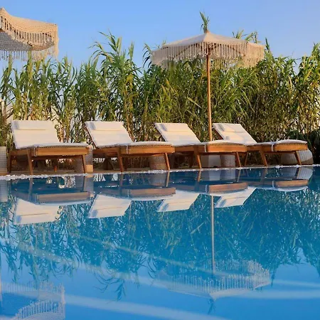 Βίλα Leno Mykonos *